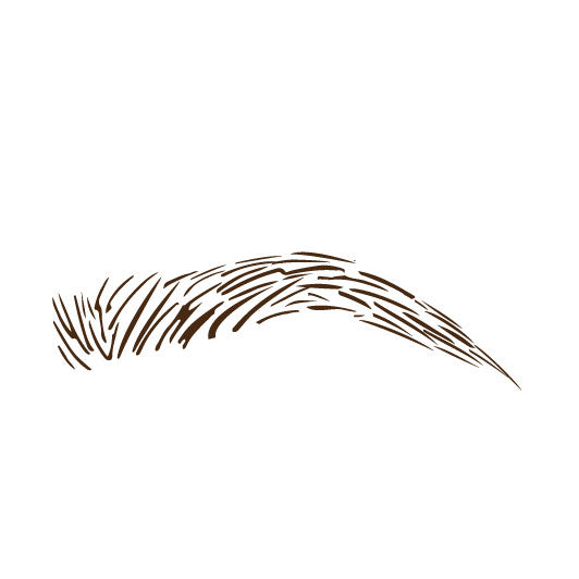 BEAUTIFUL BROW BASICS: A Complete Guide To Perfect Brows