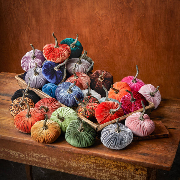 Your Heart's Content - Small Velvet Pumpkins